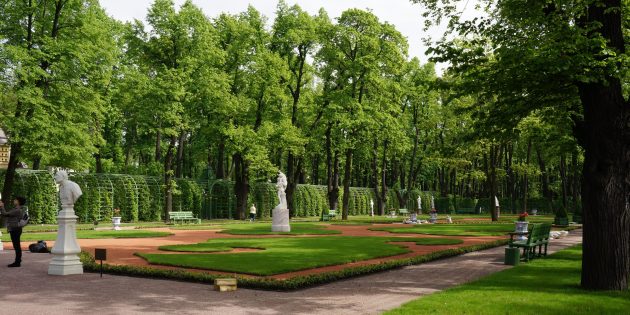 Парки Санкт-Петербурга: Летний сад