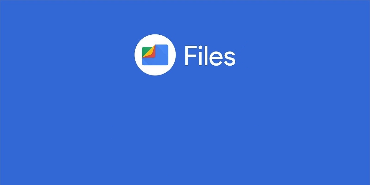 Google files