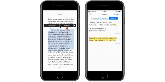 iBooks в iPhone и iPad: цитаты