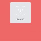 WhatsApp для iOS теперь можно защитить с помощью Face ID или Touch ID