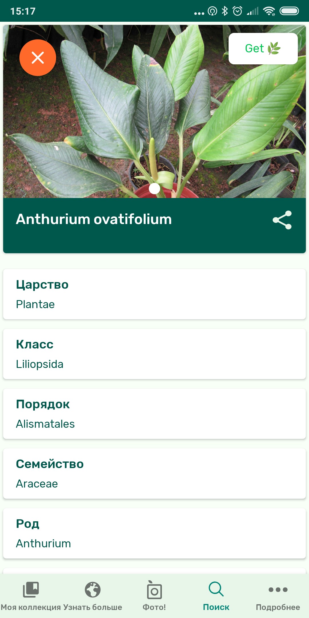 приложение определяющее растение по фото