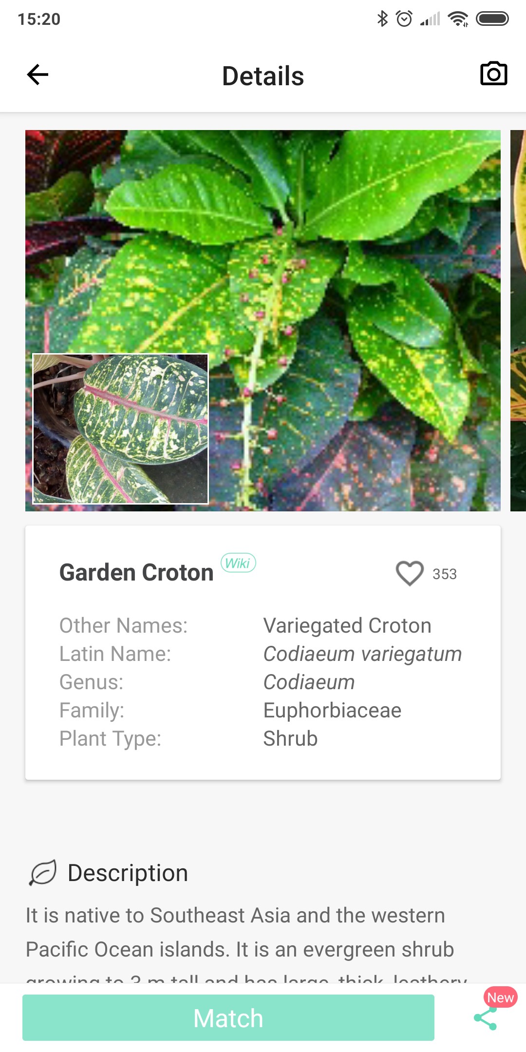 Приложение для определения растений по фото