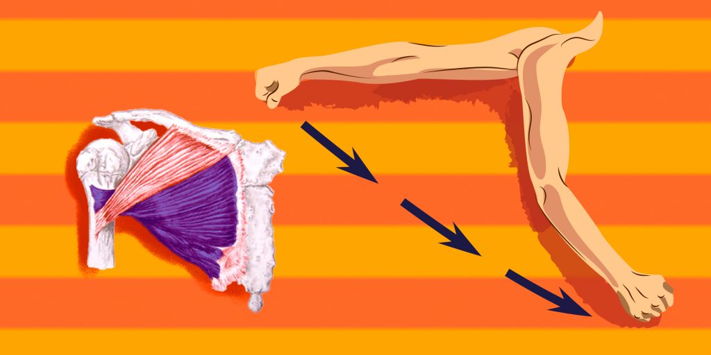 �������� �����: ����.