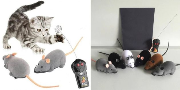 Товары для кошек: радиоуправляемая мышь