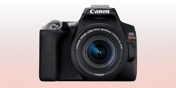 Canon представила EOS 250D — свою самую компактную и лёгкую зеркалку