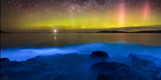 Удивительно красивые места: биолюминесцентные воды у берегов Тасмании