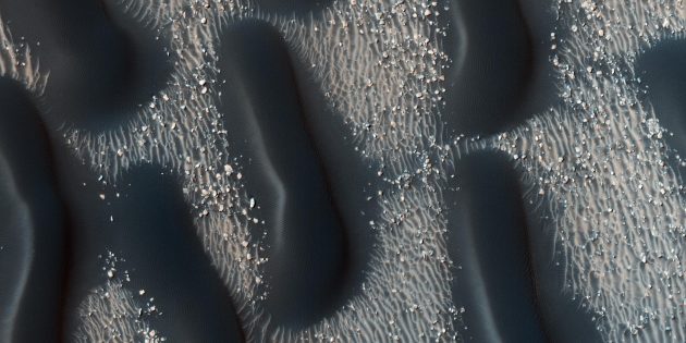 Фото космоса: марсианские паразиты