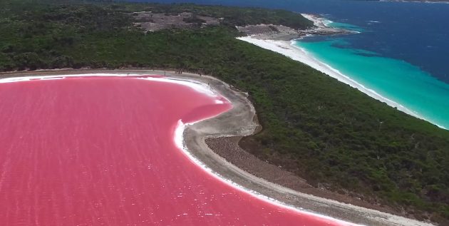 Удивительно красивые места: розовое озеро Хиллиер, Австралия