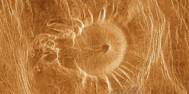 Фото космоса: клещ с Венеры