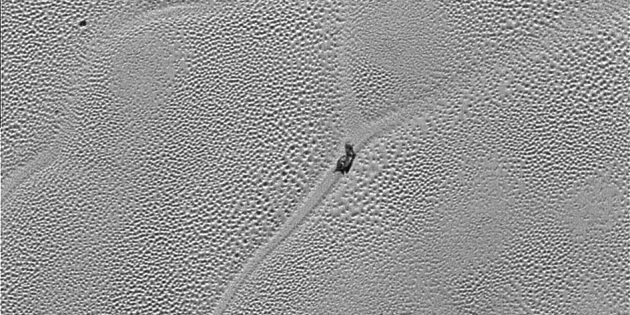 Фото космоса: апельсиновая корка и улитка