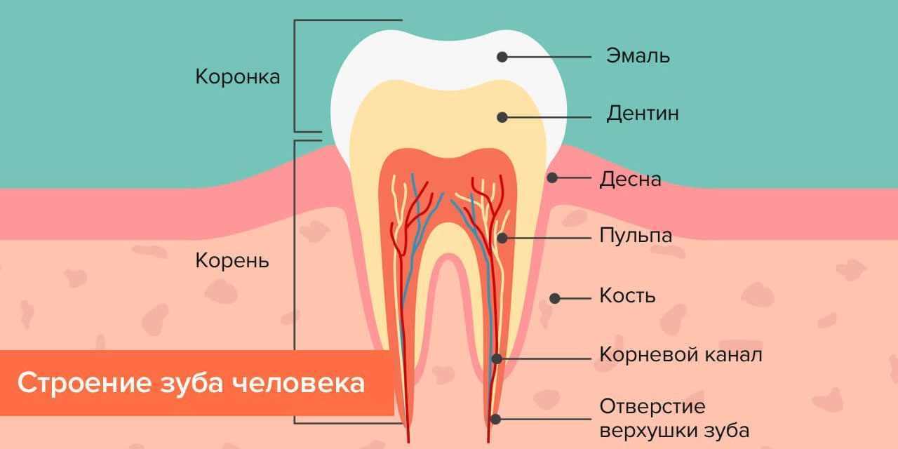 Дырка в зубе - как найти, лечение