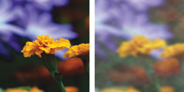 Почему катаракта так опасна и как от неё избавиться — Лайфхакер