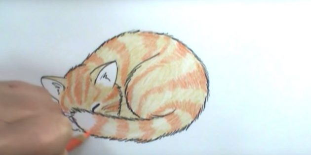 Как нарисовать кота для детей | Кот и кошка