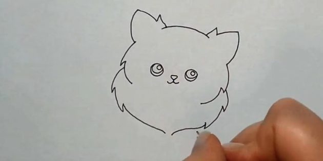 How to draw a cat: 9 step -by -step instructions