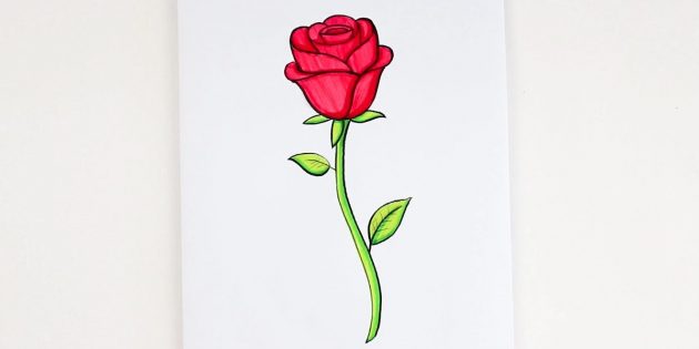 Как нарисовать полураскрытую розу фломастерами и цветными карандашами