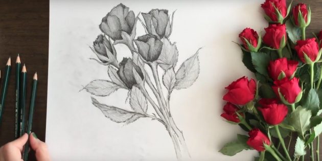 Как нарисовать букет роз карандашом