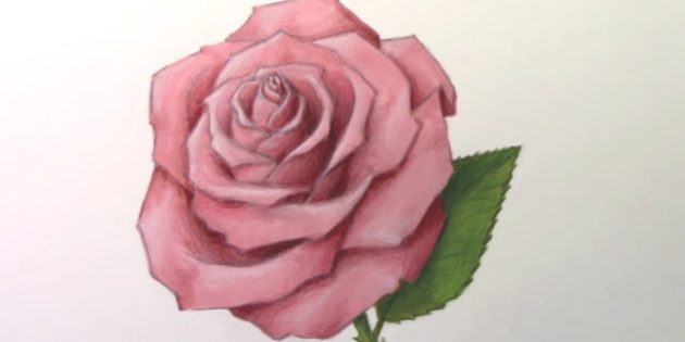 Как нарисовать раскрытую розу фломастерами и цветными карандашами