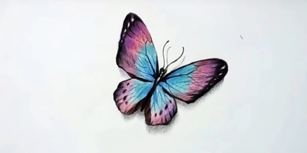Как нарисовать реалистичную бабочку цветными карандашами