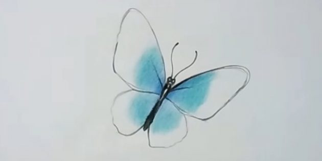 Подкрасьте крылья бирюзовым цветом