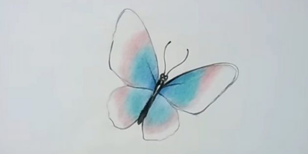 Рисунок бабочки простым карандашом поэтапно (47 фото)