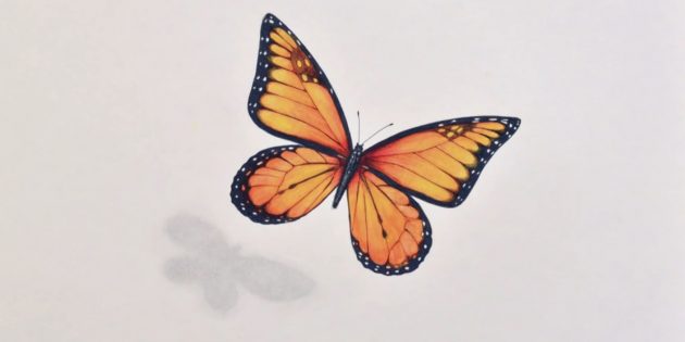 Как нарисовать реалистичную бабочку фломастерами и цветными карандашами