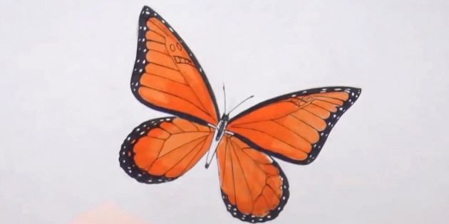 Обведите туловище бабочки и разнообразьте узор на крыльях