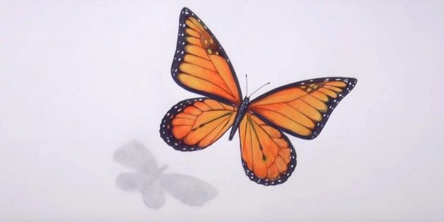 Сотрите карандашные наброски и чёрным цветом подправьте узор бабочки