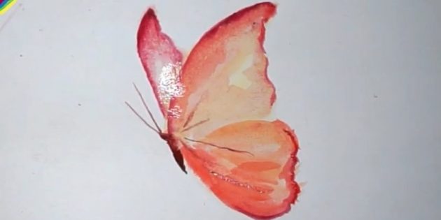 Как нарисовать реалистичную бабочку красками