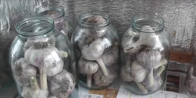 How to store garlic in a jar