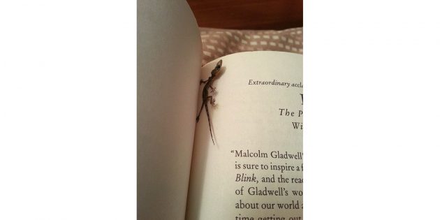 ящерица в книге