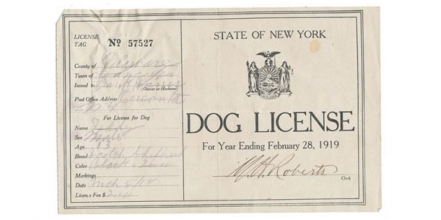 лицензия на собаку 