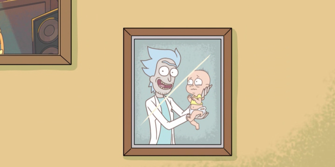 Rick And Morty Puffy Vagina