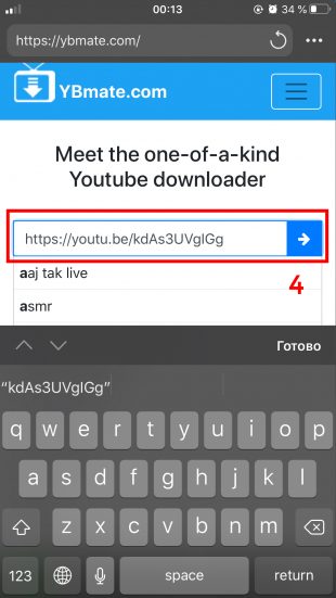 Как загрузить видео на iPhone: ввставьте скопированный ранее URL