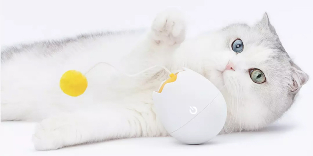 ����� ���: ������������� ������� ��� ����� �� Xiaomi. Ÿ ��� ����� ������ �� AliExpress