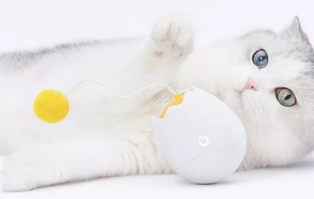 Штука дня: интерактивная игрушка для котов от Xiaomi. Её уже можно купить на AliExpress