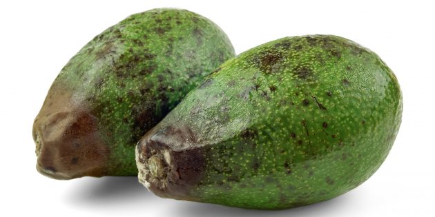 Как правильно выбрать авокадо: не берите фрукт с повреждениями на шкурке