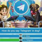Telegram опросы