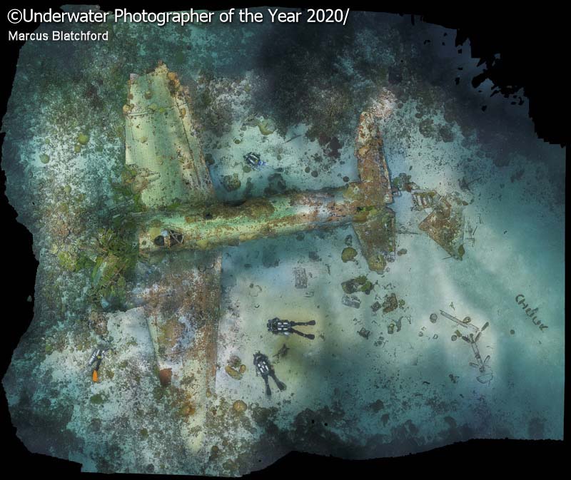 Лучшие подводные фото с конкурса UPY2020
