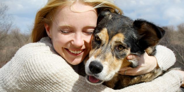 8 научно обоснованных причин завести собаку