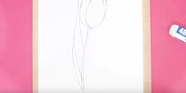 Как нарисовать тюльпан: прорисуйте стебель и левый лист