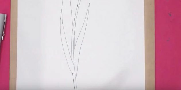 Как нарисовать тюльпан: нарисуйте правый лист