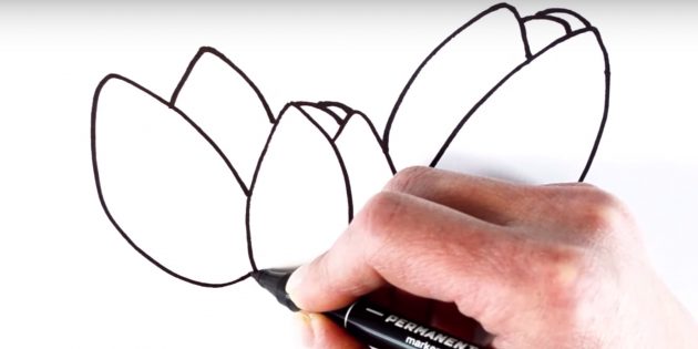 Как рисовать тюльпан: дорисуйте левый лепесток