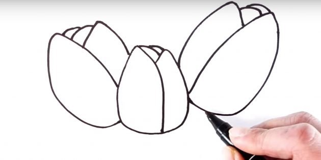 Как рисовать тюльпан: добавьте задние лепестки