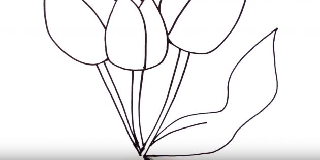 Как рисовать тюльпан: изобразите правый лист