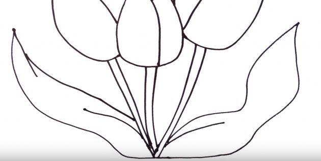 Как рисовать тюльпан: изобразите левый лист