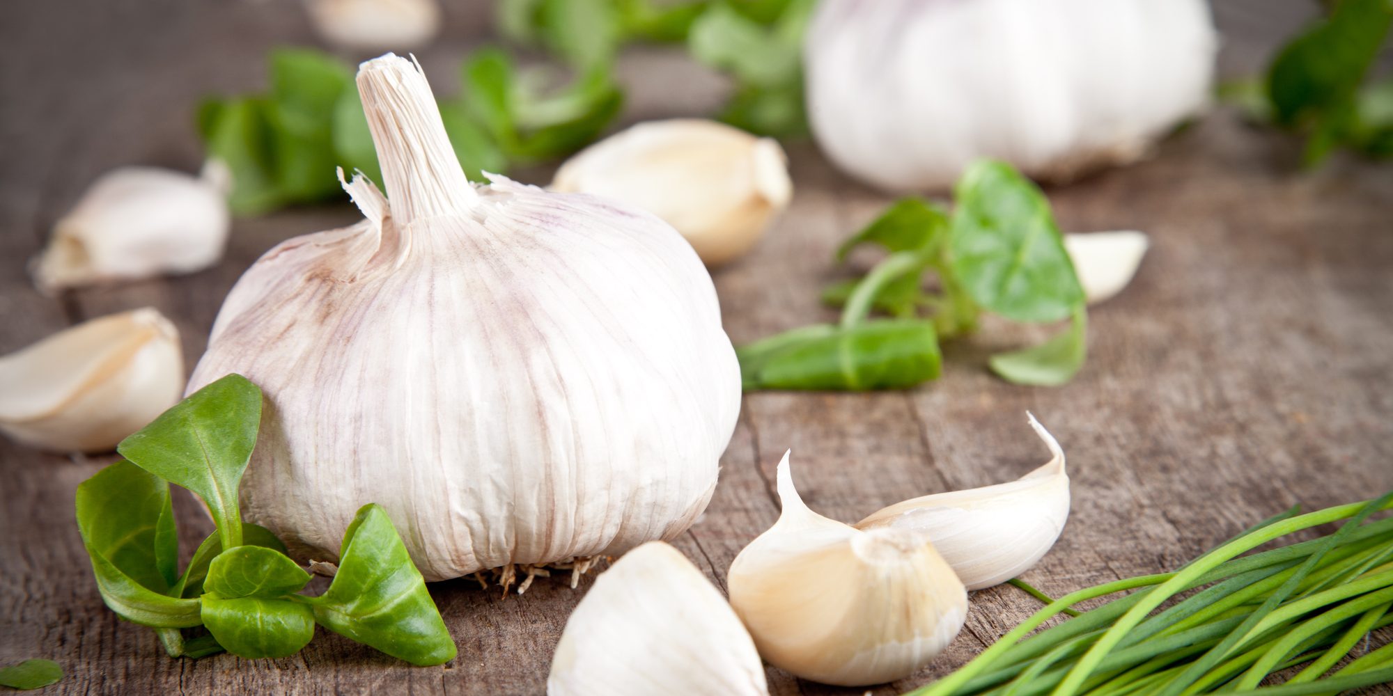 Головка чеснока. Индийский чеснок. 1 2 шт 4 чеснок. Чеснок на белом фоне. Чеснок эстетика.