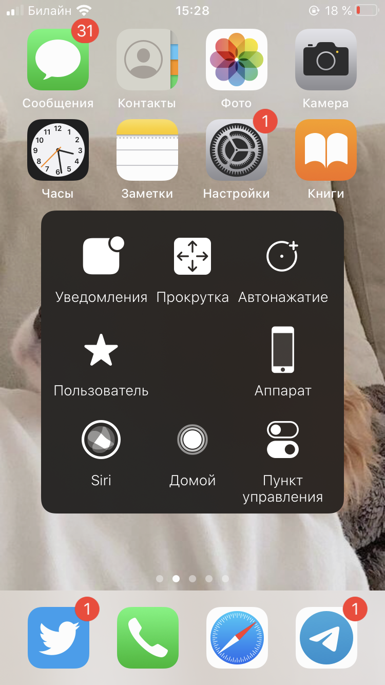 Виртуальная кнопка Домой на экране iPhone, или как включить Assistive Touch и пользоваться им