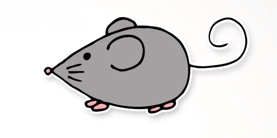 Рисунок плюшевого мишку поэтапно (50 фото)