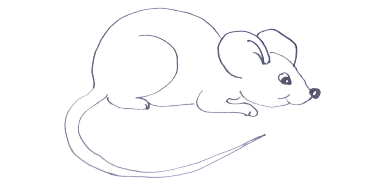 Как легко нарисовать мышку. Рисунок мыши для срисовки. Мышка рисунок карандашом. Мышь рисунок для детей карандашом. Мышка рисунок для детей карандашом.