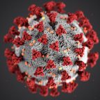 Чем коронавирус отличается от сезонного гриппа: наглядное сравнение
